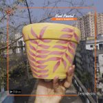 Hand Painted Terracotta Pot