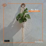 Macramé Wall Pot Hanger