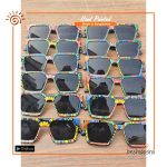 Hand Painted Sunglass