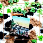 Hand Painted Mini Canvas